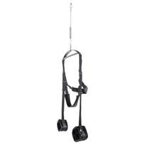 juodas seksas - Fetish Fantasy FFS Spinning Fantasy Swing Juodas (Black) - 2 nuotrauka