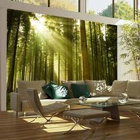 Fototapetas Artgeist Pine forest, 309 cm x 400 cm