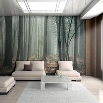 Fototapetas Artgeist Witches' forest, 270 cm x 350 cm