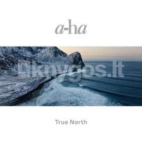 Vinilinė plokštelė LP A-HA „True North“ (2LP)