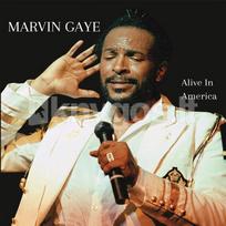 Vinilinė plokštelė LP GAYE MARVIN „Alive In America“ (Gold Vinyl) (2LP)