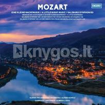 Vinilinė plokštelė LP MOZART A Little Night Music