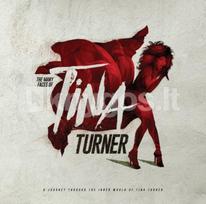 tina turner - Vinilinė plokštelė LP „The Many Faces of Tina Turner“ (Transparent Red Vinyl) (2LP) - 1 nuotrauka