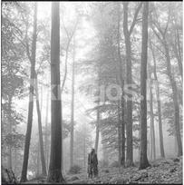 Vinilinė plokštelė LP TAYLOR SWIFT „Folklore“ (2LP)