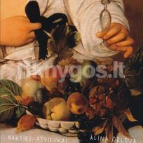 Vinilinė plokštelė LP ALINA ORLOVA „Nakties atvirukai“ (LP)