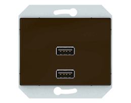 USB kištukinis lizdas Vilma XP500, su 2xUSB, antracito (Anthracite)