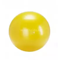gimnastikos kamuolys 75 - Gimnastikos kamuolys Gymnic Plus, geltonas (Yellow), 75 cm - 1 nuotrauka