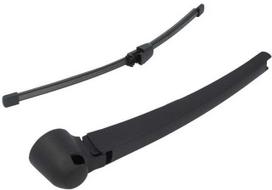 raw - Valytuvas Magneti Marelli 000723180193, galinis, 330mm, VW Tiguan 2007-2017 - 1 nuotrauka