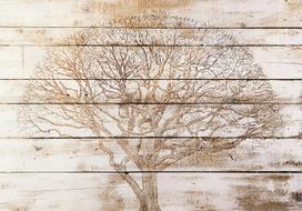 Fototapetas Artgeist Tree On Boards, 105 cm x 105 cm