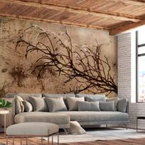 Fototapetas Artgeist Rickety Cherry Tree, 105 cm x 105 cm