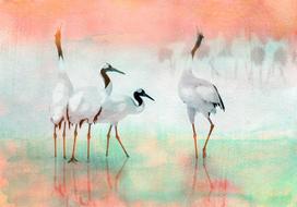Fototapetas Artgeist Cranes In Pastels, 70 cm x 100 cm
