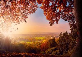 Fototapetas Artgeist Autumn Delight - Sunny Landscape With Countryside Surrounded By Trees And Fields, 105 cm x 150 cm