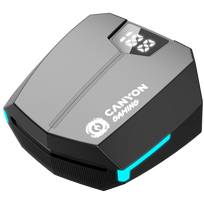 Canyon GTWS-2 Black (Juodos)