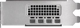 quadris - PNY Quadro RTX 2000 Ada 16GB GDDR6 LowProfile PCIe 4.0 x16 - 4 nuotrauka