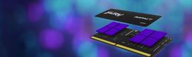 5600 - Kingston FURY Impact, DDR5, 32 GB, 5600 MHz - 14 nuotrauka