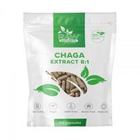 RAW POWDERS maisto papildas ČAGA EKSTRAKTAS 500 mg, 90 kaps.