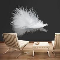 Fototapetas Artgeist White Feather FTNT0923, 270 cm x 350 cm