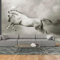 Fototapetas Artgeist Wild Stallion, 309 cm x 400 cm