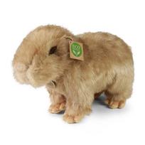 kapibaras - Pliušinis žaislas Rappa Kapibara, 30 cm, ekologiškas (ECO-FRIENDLY) - 1 nuotrauka