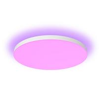 lubiniai sviestuvai - Philips Hue Datura Didelis Lubinis Šviestuvas RD XL (Balta/White) - 1 nuotrauka