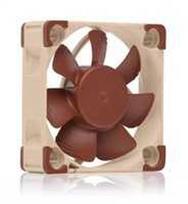 korpuso ausintuvai - Noctua NF-A4x10 24V PWM Rusvai gelsvas (Brown) - 1 nuotrauka