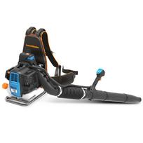 Benzininis lapų pūstuvas Lawnmaster, 850 W