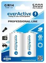 ikraunamos r14 baterijos - EverActive R14/C Ni-MH 5000mAh Įkraunamos baterijos, 2 vnt. - 2 nuotrauka