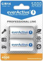 ikraunamos r14 baterijos - EverActive R14/C Ni-MH 5000mAh Įkraunamos baterijos, 2 vnt. - 5 nuotrauka
