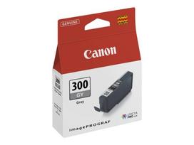 CANON 1LB PFI-300 GY EUR/OCN grey | 4200C001