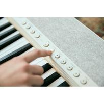 skaitmeninei - Sintezatorius Casio CT-S1WE - 5 nuotrauka