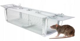 Gotel Q25A spąstai pelėms ir žiurkėms, 0.010 kg