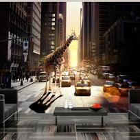 Fototapetas Artgeist Giraffe In The Big City XXLFTNT0845, 231 cm x 231 cm