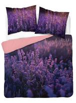 Detexpol Patalynės užvalkalų komplektas SJF-51, violetinis (Purple), 200x220 cm, 3 dalys