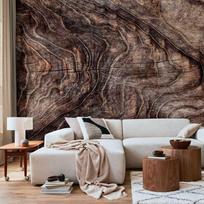 Fototapetas Artgeist Signs Of The Times - An Abstract Background With The Wrinkled Bark Of An Old Tree, 175 cm x 175 cm