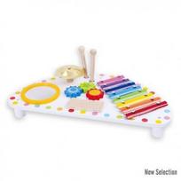 Andreu Toys Multifunkcinis muzikinis žaislas 2+