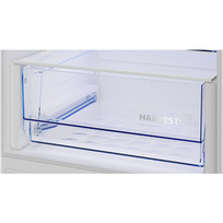 saldytuvas 178 cm - Beko B3BCNA294HS - 4 nuotrauka