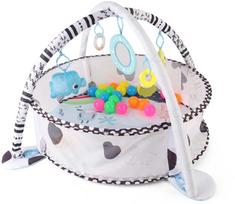 Milly Mally TinyMini JL626-2D 2in1 mokomasis kilimėlis - kamuoliukų baseinas