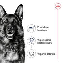 sunu maistas - Royal Canin Maxi Adult 15 kg - 5 nuotrauka