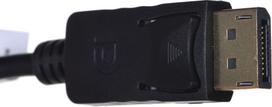 displayport dvi dual link - Lanberg Adapter Displayport to DVI Black 0.10m - 2 nuotrauka