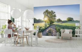 Fototapetas Sunny decor SD134, 368 cm x 254 cm