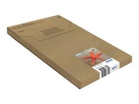 EPSON Multipack 3-colours 603 EasyMail | C13T03U54510