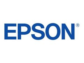 EPSON UltraChrome DG White T725A00 600ml | C13T725A0N