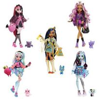 Mattel Monster High Lėlė su priedais HPD53