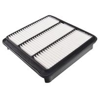 Oro filtras ADC42256