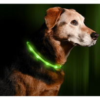 Trixie LED antkaklis USB, silikonas, XS-XL, Žalias (Green)