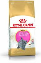 Royal Canin British Shorthair Kitten sausas maistas kačiukams, 0,4 kg