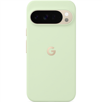 Google Pixel 10 Pro XL Pixelsnap Case, žalias - Dėklas
