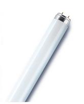 Osram Liuminescencinė lemputė T8 36W 3000K 3250lm