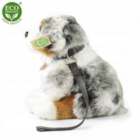 RAPPA pliušinis šuo Australijos aviganis, 27 cm (221123)