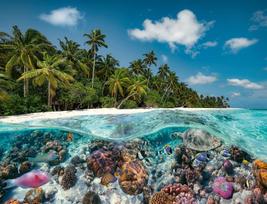 Ravensburger Dėlionė A Dive In The Maldives 2000 vnt. 17441